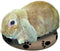 Snugglesafe Warmteschijf Hond/Kat - 24 cm