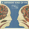 Bombay Bicycle Club - A Different Kind Of Fix - CD - 50:49