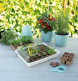 SOGO Eco - Kweekkas - inclusief 30 turfpotjes - kweekbak