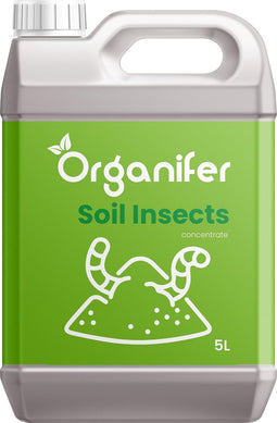 Soil Insects Bodeminsecten Concentraat (5L, 5000m2) - Insecten Bestrijding - Taxuskever Bestrijden - Toepasbaar bij Spint, Ritnaalden, Bodem - Aardrupsen, Larven van Prachtkevers en Spintkevers en andere schadelijke insecten - Organifer
