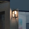 Solar buitenwandlamp met sensor zwart - Lucian