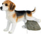 Solar fontein poly hond vijver