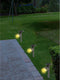 Solar spotlight/tuinpad verlichting op zonne-energie 25 cm - Prikspots tuinverlichting