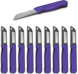 Solingen Schilmesje Robuust Handvat - RVS Glad - 16 cm met "Blade Cover" - Paars - 10 stuks