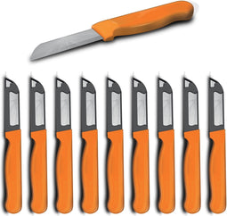 Solingen Schilmesje Robuust Handvat - RVS Glad - 16 cm met "Blade Cover" - Oranje - 10 stuks