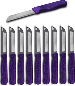 Solingen Schilmesje Robuust Handvat - RVS Glad - 18.5 cm met "Blade Cover" - Paars Glitter - 10 stuks