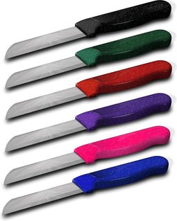 Solingen Schilmesje Robuust Handvat - RVS Glad - 18.5 cm met "Blade Cover" - Mix Glitter - 6 delig