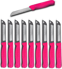 Solingen Schilmesje Robuust Handvat - RVS Glad - 18.5 cm met "Blade Cover" - Roze Glitter - 10 stuks