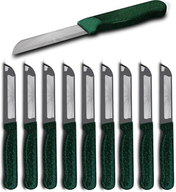 Solingen Schilmesje Robuust Handvat - RVS Glad - 18.5 cm met "Blade Cover" - Groen Glitter - 10 stuks