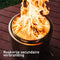Solo Stove Bonfire-Vuurkorf 2.0 | Rookvrije Vuurplaats, Houtverbranding, Met uitneembare aslade, 304 Roestvrijstaal, 49,5 x 35,5 cm, 9 kg,
