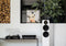 Sonoro Platinum platenspeler met Bluetooth zender - Mat Zwart