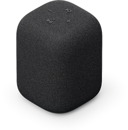 Sony LinkBuds Speaker Zwart