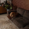 By Cee Cee - Hondendeken Premium - Afritsbaar Hondenplaid - Bruin - Maat S 75x75