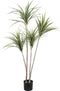 PTMD Dracaena Kunstplant - 80 x 65 x 140 cm - Kunststof - Groen