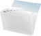 Sorteermap Rexel Ice 13-vaks transparant | 10 stuks