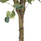 Decoratieve plant 78 x 68 x 150 cm Groen PVC Eucalyptus