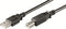 Ewent EW-UAB-030 - USB A naar USB B kabel - 300 cm - Zwart