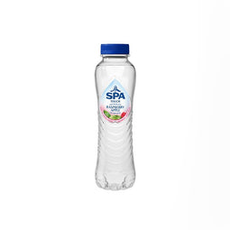 Spa Touch - Watertouch still raspberry/apple pet 0.5l