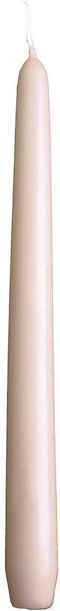 Spaas 100 stuks Dinerkaarsen/tafelkaarsen/kandelaarkaarsen 25cm - 8 Uur - Beige