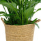 Spathiphyllum ‘Sweet Lauretta’ in handgevlochten sierpot Nelis (naturel) - BestPlants - Plant-pot combinatie (BS)- Hoogte 100 cm