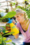 GLORIA Hobby 100 - Drukspuit - Traploos verstelbare sproeikop - 1 liter