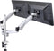 SpeaKa Professional SP-3947568 Flex Monitor-tafelbeugel 2-voudig 25,4 cm (10) - 68,6 cm (27) In hoogte verstelbaar, Kantelbaar, Zwenkbaar, Roteerbaar
