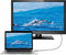SpeaKa Professional SP-9505616 USB-C-displaykabel USB-C Aansluitkabel USB-C stekker, USB-C stekker 15.00 m Zwart TPE-ma