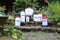 Spear & Jackson Drukspuit 2L - drukspuit - druksproeier - drukspuit zuurbestendig - plantenspuit - plantenbak