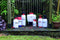 Spear & Jackson Drukspuit 8 Liter - Druksproeier - Onkruidverdelger - Sproeier - Drukspuiten - drukspuit zuurbestendig - drukspuit zuur - 1 Jaar Garantie