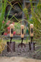 Spear & Jackson ELEMENTS3PS Elements - tuingereedschap set - Cadeau voor man - cadeau voor vrouw -3 delige -Tuinierset - Tuinsetje - Gereedschap voor Tuin - tuinierset