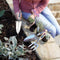 Spear & Jackson plant set RVS gepolijst 3 delig - tuingereedschap set - cadeau voor vrouw - cadeau voor man- 3 delige - Tuinierset - Tuinsetje - Gereedschap voor Tuin - tuinschepje - 10JAAR GARANTIE