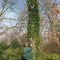 Spear & Jackson Telescopische Boomzaag - takkenzagen - boomzaag telescopisch - takkenschaar - Snoeischaar - Totale lengte 234cm - 10JAAR Garantie