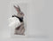 Spextrum Tissuehouder Up Rabbit - White