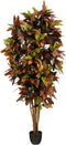 Mica Decorations Kunstplant Croton - 75x75x180 cm - Polyester - Groen