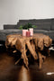Spider Coffee Table - 80x80x40cm - Teak Root
