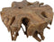 Spider Coffee Table - 80x80x40cm - Teak Root