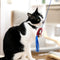 SPIDERMAN - Kattenspeelgoed Hengel