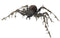 Spin Halloween Bruin 60 x 43 cm