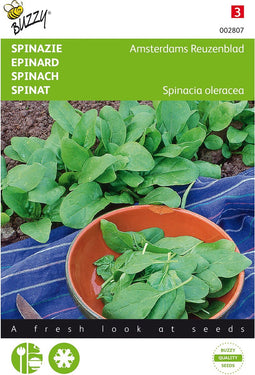 Spinazie Amsterdams Reuzenblad scherpzaad 20 gram