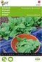 Spinazie Amsterdams Reuzenblad scherpzaad 20 gram