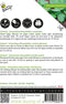 Spinazie Amsterdams Reuzenblad scherpzaad 20 gram