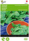 Spinazie Amsterdams Reuzenblad scherpzaad 20 gram