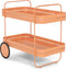 SPINDER DESIGN GIN & TROLLEY Serveerwagen - Clay Terra
