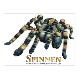 Spinnen en andere angstaanjagende beestjes