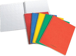 Spiraalcarnet 75x110mm ruit 5x5mm 80vel assorti | 20 stuks