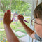 Spirograph - Raam Versierder