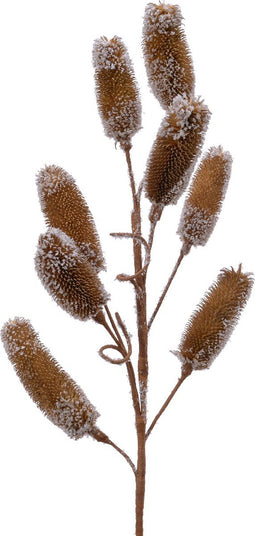 Spray naturel l30b6h70cm naturel