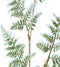 Spray pe l15b1h69 cm groen