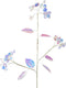 Spray plc b15h68 cm iris