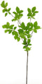 Spring leaf spray green 128 cm kunstbloemen